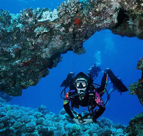 Maui divers - At Maui Diving you can, scuba dive the island of Lanai’i, Molokini, and many more dive sites on Maui! We are your full service PADI 5-Star dive center for Scuba certification, …